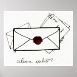 Calcium Oxalate print