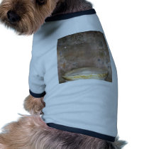Caldarium bath at Pompeii Pet Tee