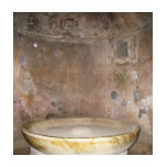Caldarium bath at Pompeii t-shirts