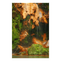 Caldeira Velha - Azores Art Photo