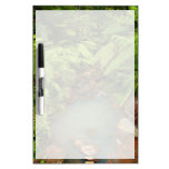 Caldeira Velha park Dry-Erase Whiteboard