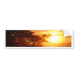 Caldera Port , Costa Rica bumper stickers