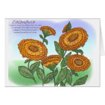 Calendula Cards