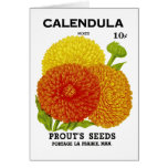 Calendula Vintage Seed Packet