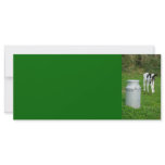 Calf and milk urn rack cards