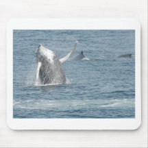 Calf breach mouse pads