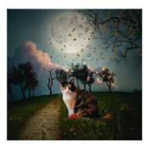Cali Moon Photo Print