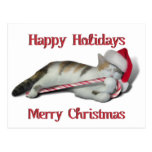 Cali, the Candy Cane Kitty Post Card
