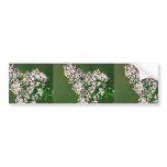 Calico Aster bumper stickers