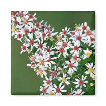 Calico Aster Fridge Magnets