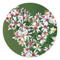 Calico Aster Round Sticker