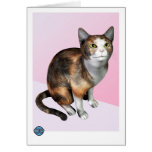 Calico cards