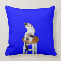 Calico Cat American MoJo Pillows