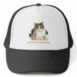 Calico Cat: Annoy Me At Your Own Risk hats