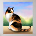 Calico Cat at Sunset Poster posters