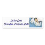 Calico Cat Bumper Sticker bumper stickers