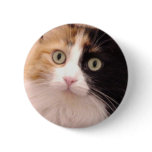 Calico Cat Button