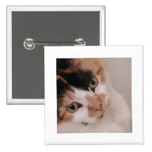 Calico Cat Buttons