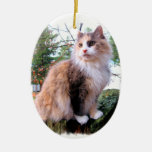 Calico Cat Custom Christmas ornaments