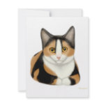 Calico Cat Invitation