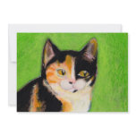 Calico cat kitten art fun cute original drawing invitations
