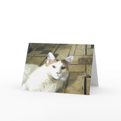 Calico Cat Note Card by Quequay