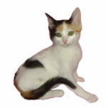 Calico Cat Photo Sculpture photo sculptures