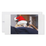 Calico Cat photo cards