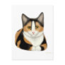 Calico Cat Postcard