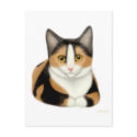 Calico Cat Postcard