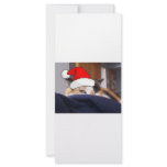 Calico Cat rack cards