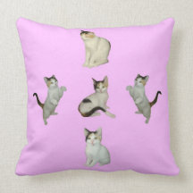 Calico Cats American MoJo Pillow