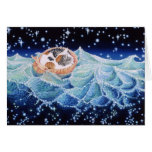 Calico Cockleshell, Calico Cockleshell, by Darl... cards