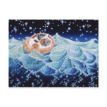 Calico Cockleshell postcards