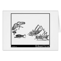 Calico Drum Cards