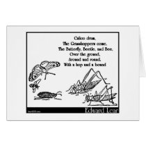 Calico drum greeting cards