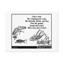 Calico drum post card