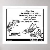 Calico drum posters