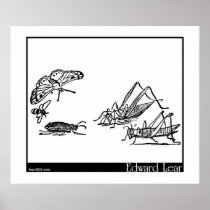 Calico Drum Print