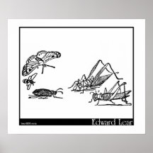 Calico Drum Print