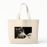 Calico Kitten Bag