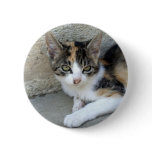 Calico Kitten buttons