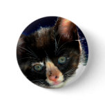 Calico Kitten Button