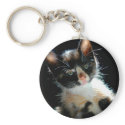Calico Kitten Keychain