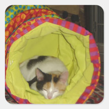 Calico Kitten Napping Square Stickers