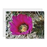 Calico Or Hedgehog Cactus invitations