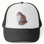 Calico Persian Cat hats