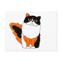 Calico Persian Cat