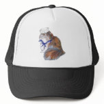 Calico Persian Cat Sailor hats