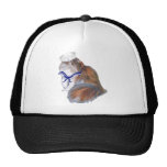 Calico Persian Cat Sailor Mesh Hat